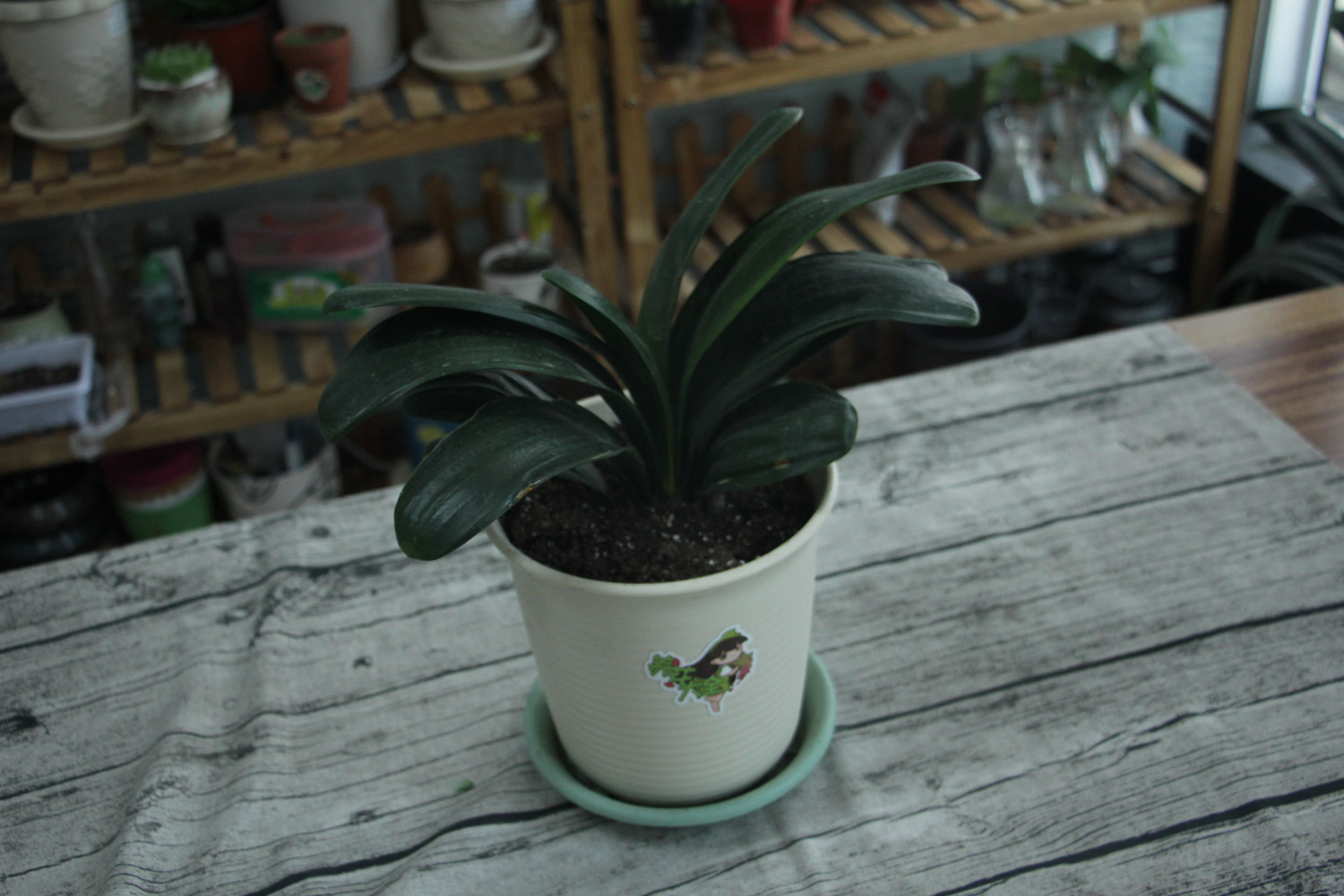 20200922151229_812956 20200922151229_812956