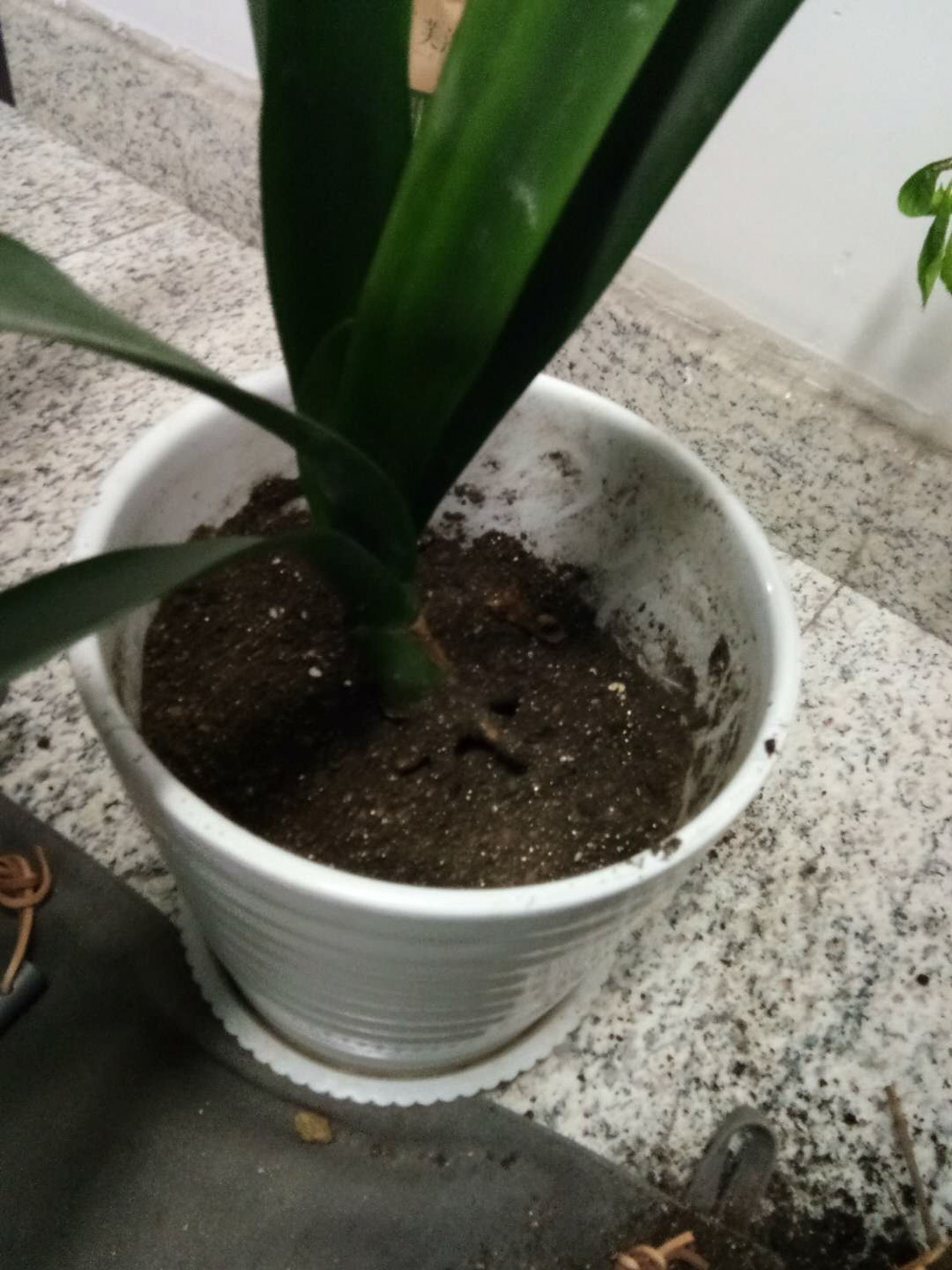 20200922151231_315896 20200922151231_315896