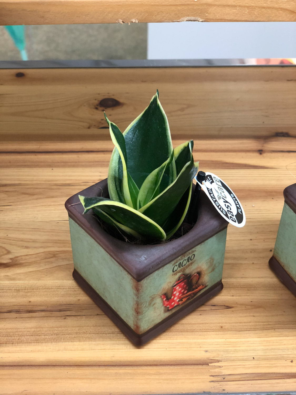 20200922145712_137637 20200922145712_137637