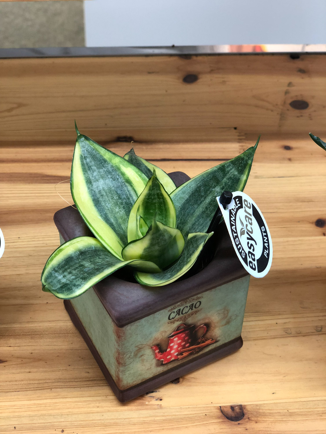 20200922145712_249498 20200922145712_249498