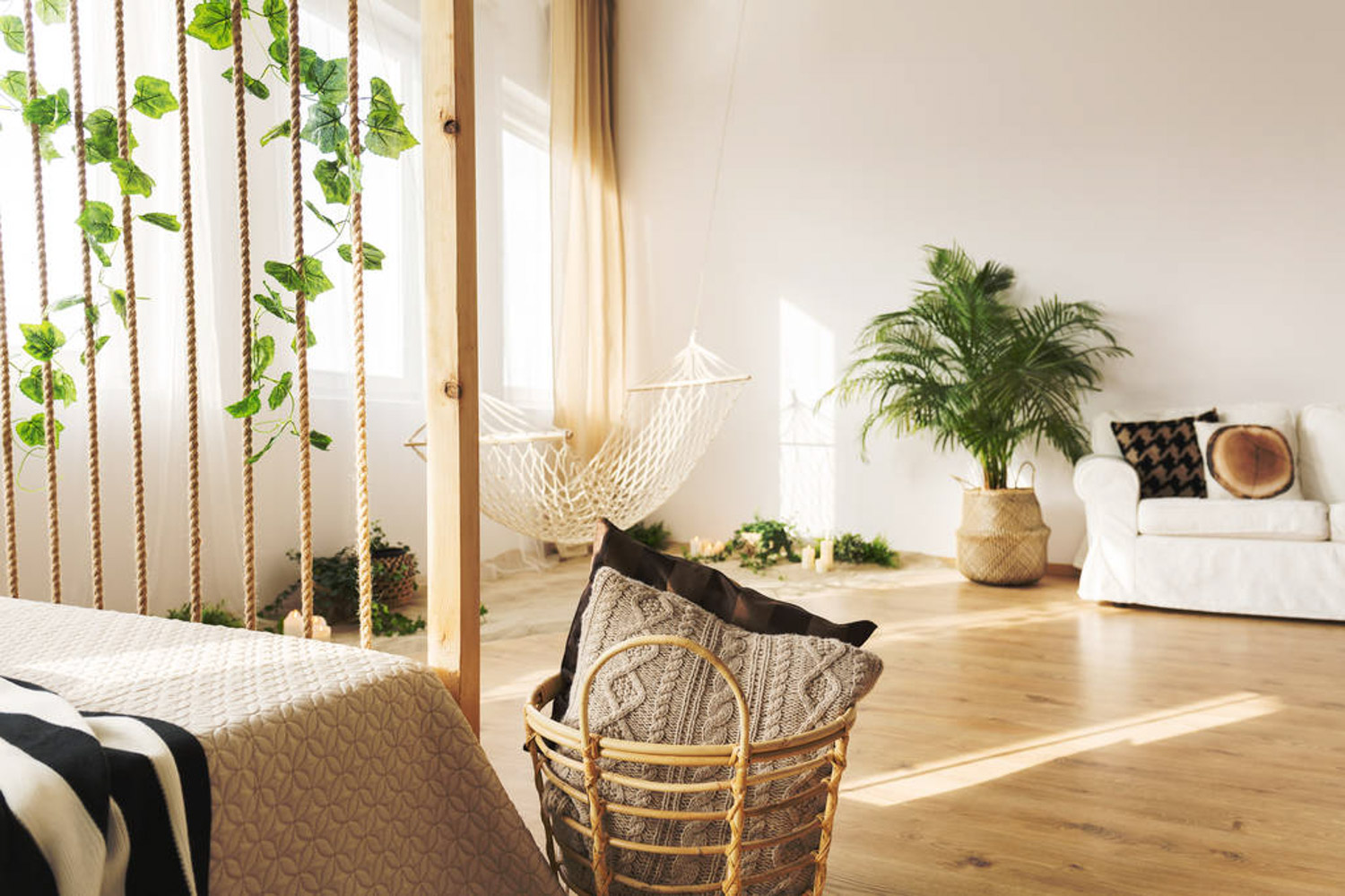 20201116165446_138717